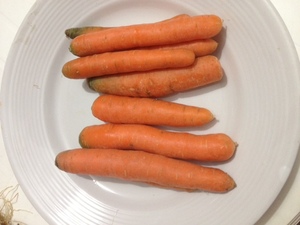 Carrot 