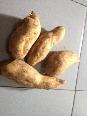 Sweet Potatoes
