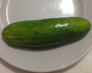 Cucumber