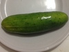 Cucumber