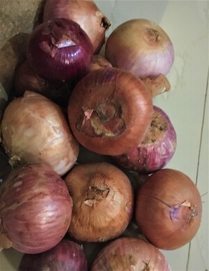 Onions