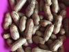 Groundnut