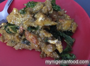 Nigerian Plantain Porridge