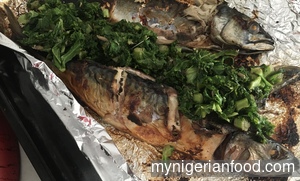 Baked Mackerel with Kale