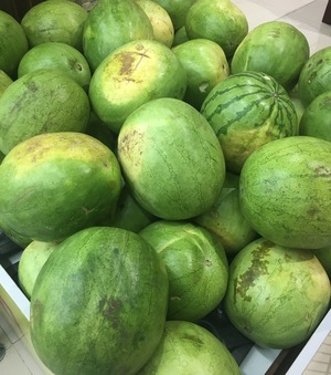 Watermelon