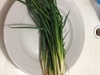 Spring Onions
