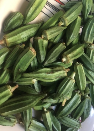 Okro